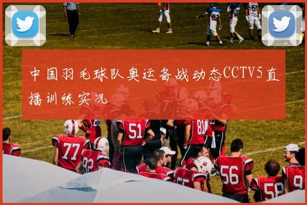 中国羽毛球队奥运备战动态CCTV5直播训练实况