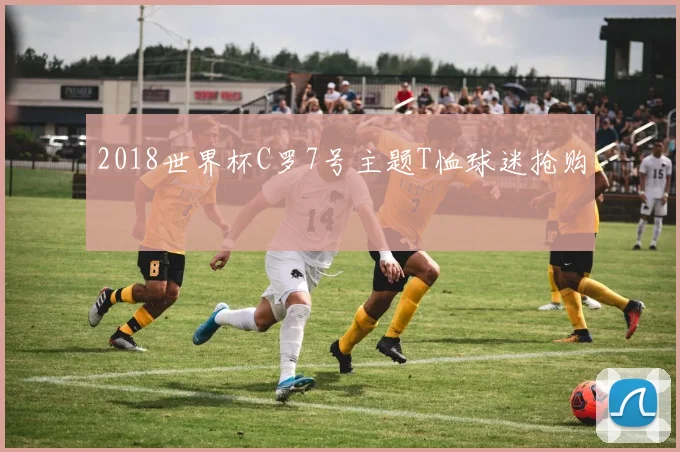 2018世界杯C罗7号主题T恤球迷抢购