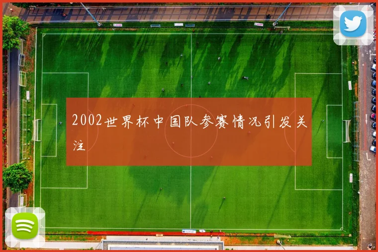 2002世界杯中国队参赛情况引发关注