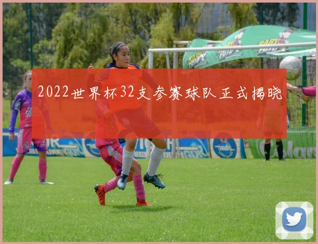 2022世界杯32支参赛球队正式揭晓