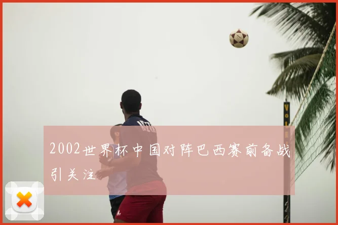 2002世界杯中国对阵巴西赛前备战引关注